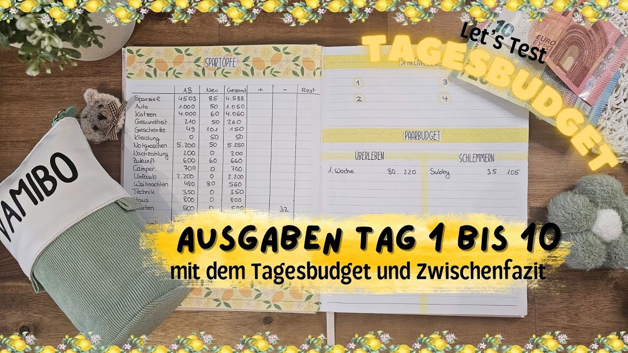 Tagesbudget Tag 1 bis 10 🍋 Mein erstes Fazit zum Tagesbudget💸 Ich teste das Tagesbudget
