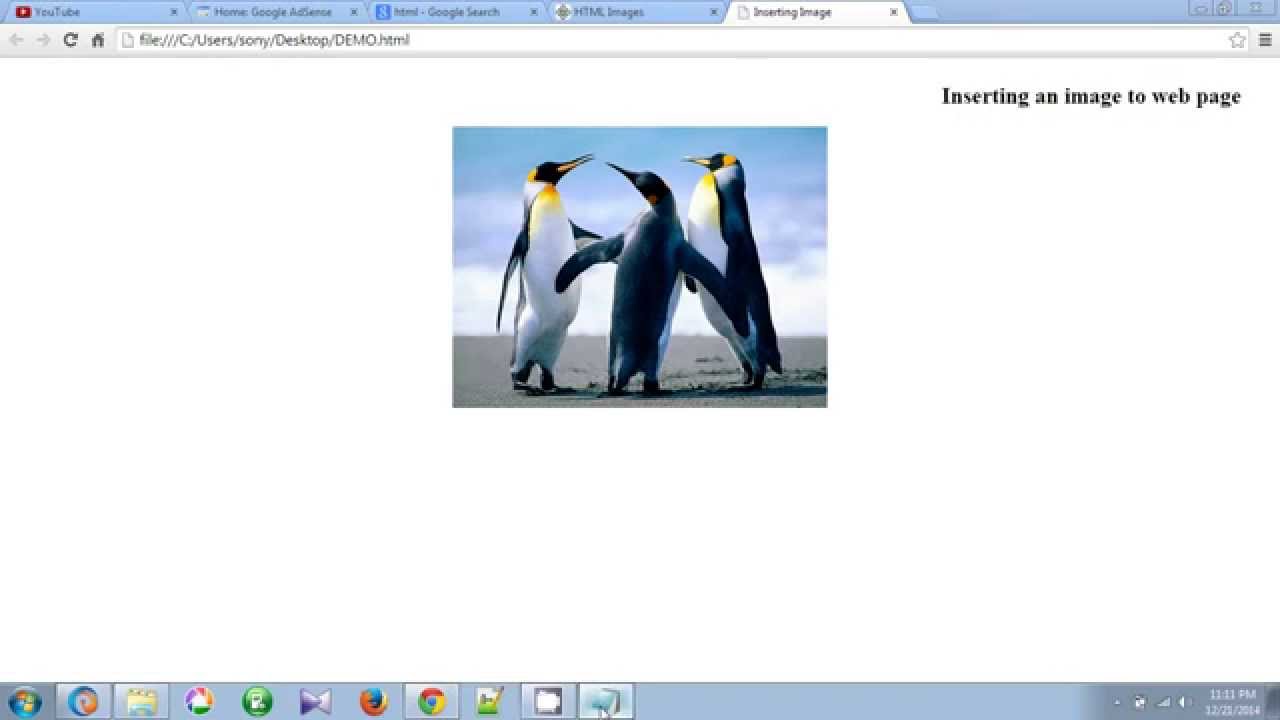 How To Insert Image in HTML Web Page Using Notepad