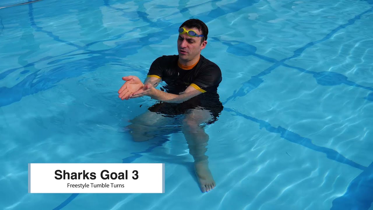 Sharks Goal 3 Freestyle & Backstroke Tumble Turns - YouTube