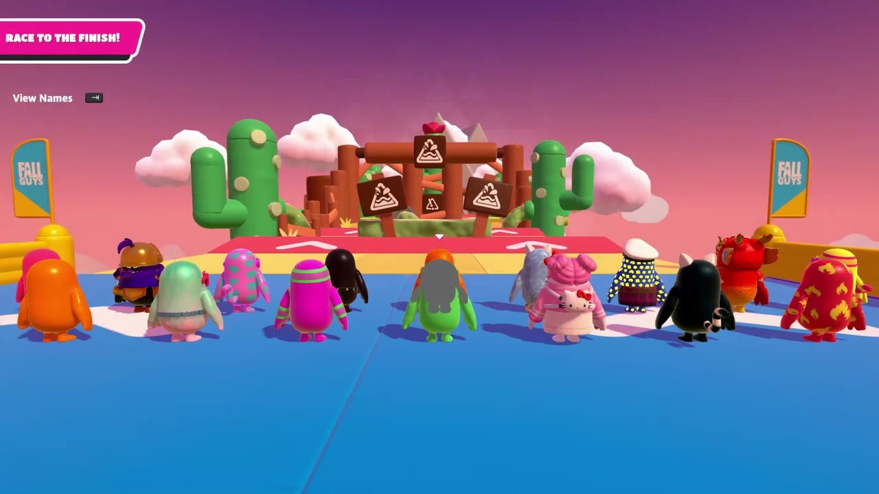 ניצחתי בFallGuys