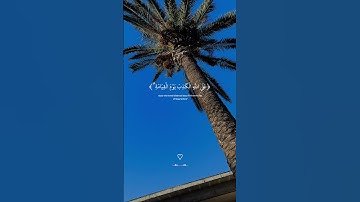 قرآن الكريم 🫶🫶🫶 #اكسبلور #لايك #nature