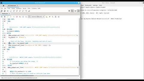CIT 325 week 4 lab loops