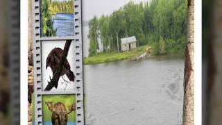 Nettogami Fishing july 2011 part 1.avi