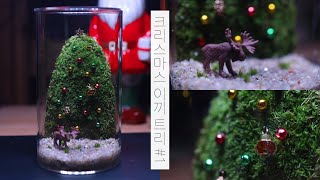 🎄 크리스마스 이끼 트리 테라리움 #1 | 물멍 | Christmas Moss Tree Terrarium #1 | MulMung