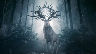 Shadow and Bone Chapter 6