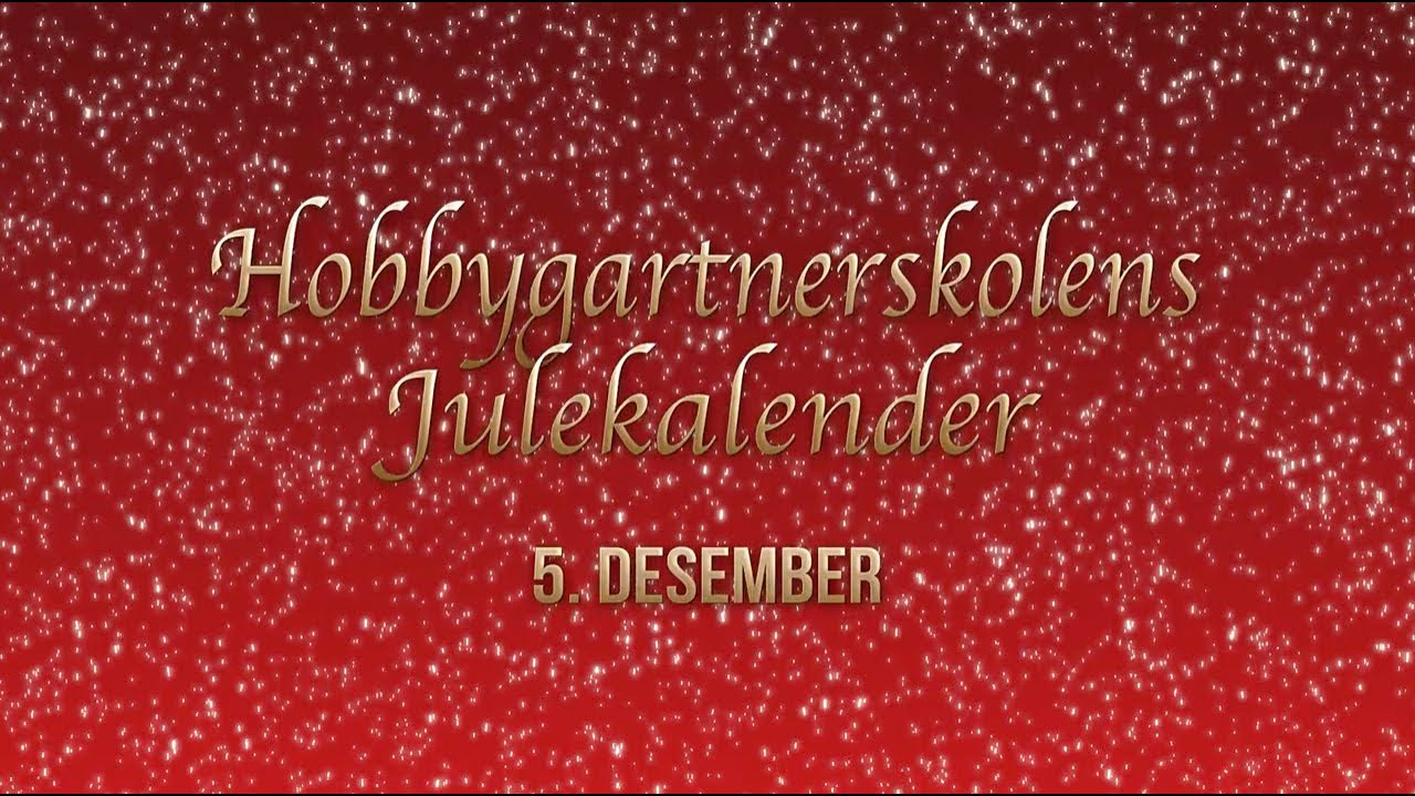 Julekalender, 5. desember: Hvordan dyrke ertespirer fra tørkede erter