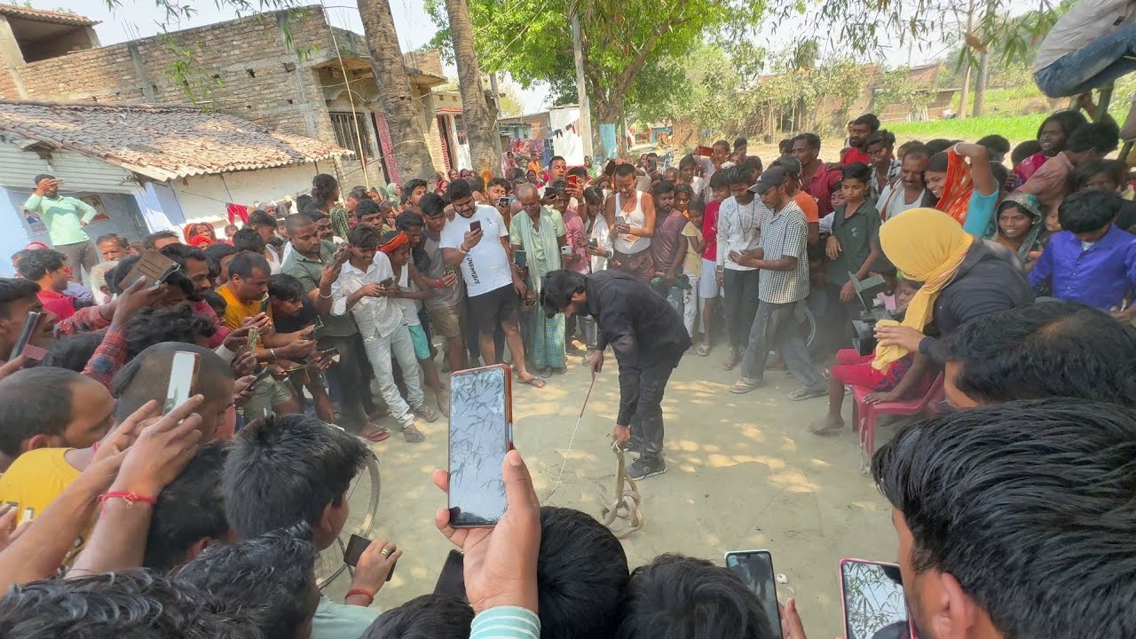 Rescue Vlog // @MurliwaleHausla