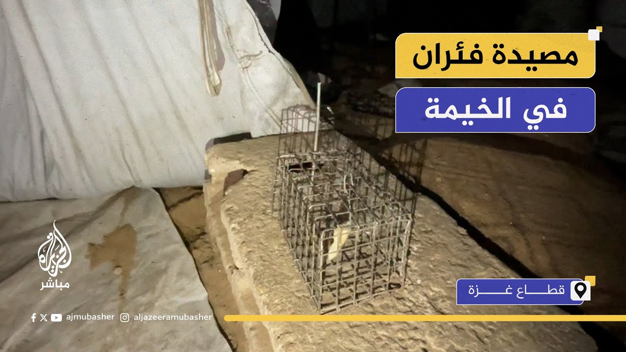 "في مخيم الصمود لم يعد يصمد النازحون"
