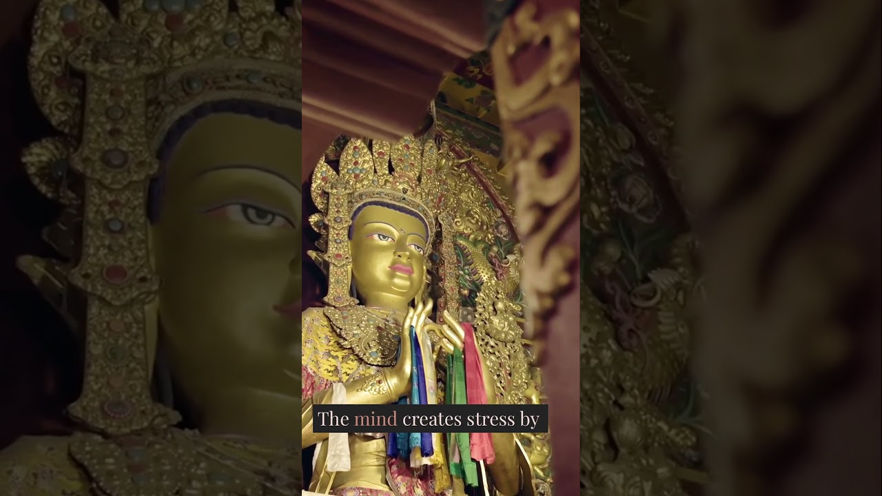 Calming Stress Through Buddhist Wisdom