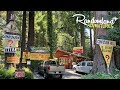 Confusion Hill - The real life Gravity Falls! Roadside Attraction on the Redwood Highway