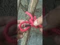 The Knot That Changes Everything.!🔥