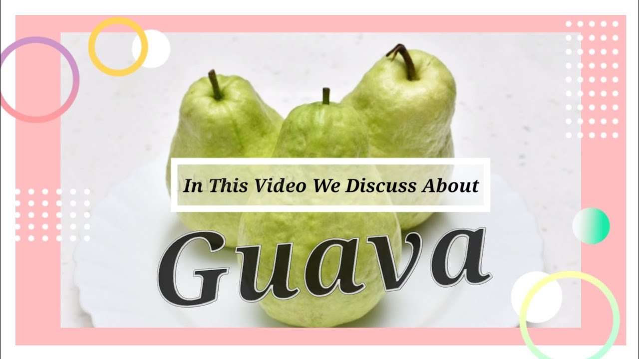 Guava | Essay On Guava Fruit | Few Lines About Guava | My Favorite Fruit Guava | 