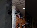 Ventilador de Parede do Ventisol VOP50 127V e VOP60 G3 140W Preto