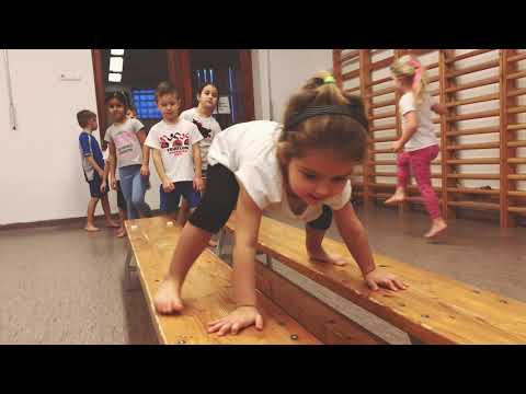 BSE OVIKARATE AGILITY