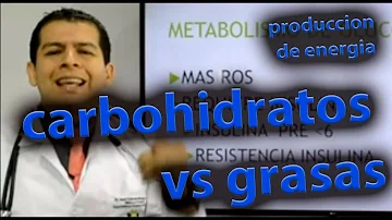 ¿El cuerpo prefiere grasas o carbohidratos?