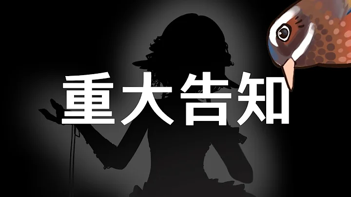 【重大告知】懵懵懂懂，走到了這一天✨ | 小金碧碧JinBee