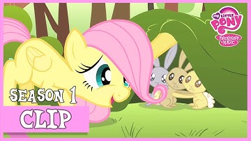 Fluttershy