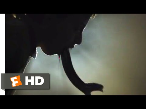 the-nun-(2018)---demonic-child-scene-(3/10)-|-movieclips