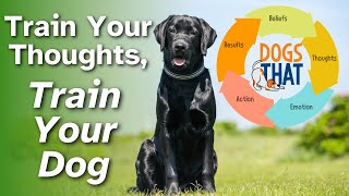 Belief Loops: How Your Thoughts Impact Your Dog's Behavior