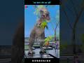 "एक इंसान और एक मूर्ति " #Short #Video #Viral #Trending #sutas 🔥#3D #animation #Video 🔥