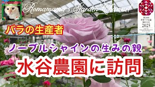 【水谷農園】バラ生産者を直撃訪問　#ノーブルシャイン　#ばら