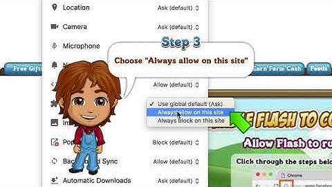 FarmVille - Flash Troubleshooting for Chrome