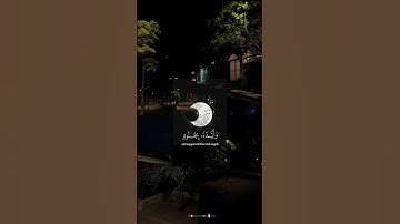 لاتحزن إن الله معنا سورة التوبة 40 القارئ عبدالرحمن مسعد