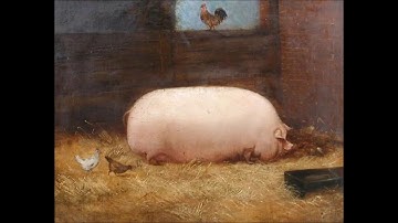 Brother, I require your oats but everytime someone says oats it slows down by 10%