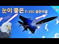 워썬더 눈이 좋은 골든이글 F-15C