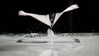 Puffin-Inspired Robot that Swims and Flies
