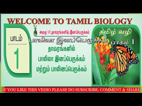 தாவரங்களில் பாலிலா இனப்பெருக்கம் மற்றும் பாலினப்பெருக்கம்- பாகம்1 BY SASIKALA IN TAMIL BIOLOGY