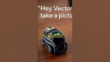 What can Vector Robot do? #vector #vectorrobot #ai #shorts#usa #video #viral #fyp #foryou #trending