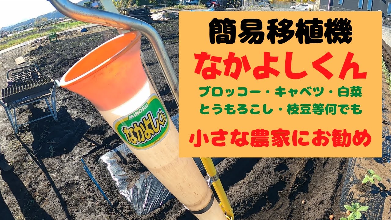 のらちゃん菜を簡易移植機「なかよしくん」で移植します - YouTube