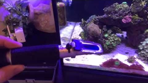 Salinity Measurement