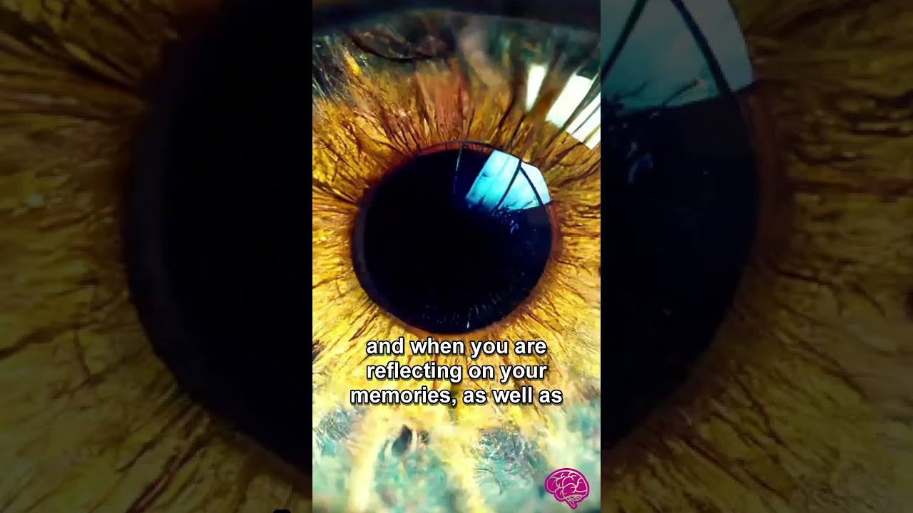 How does your brain THINK? [Default Mode Network] 