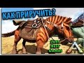 Ark Survival Evolved - КАК ПРИРУЧИТЬ ЕКВУС EQUUS - ЛОШАДЬ - ГДЕ НАЙТИ