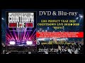 LDH PERFECT YEAR 2020 COUNTDOWN LIVE 2019▶2020 "RISING"【Perfect Digest】