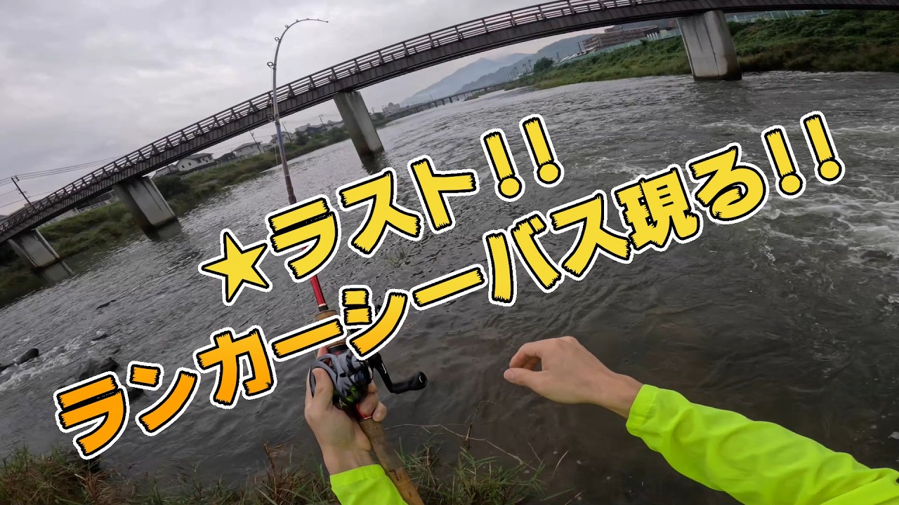 ★ラスト シーバスランカー来たぞ!!!