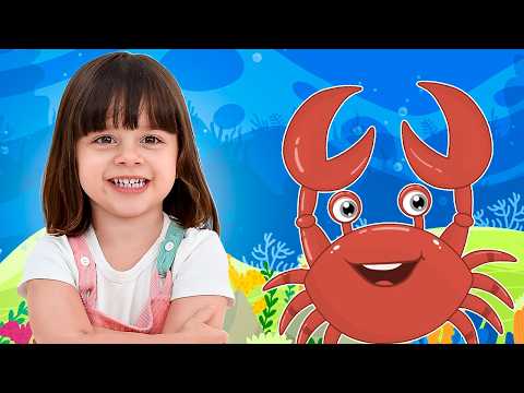 Caranguejo Peixe é - Roda Roda Roda | Música Infantil por Sofia Tv Kids