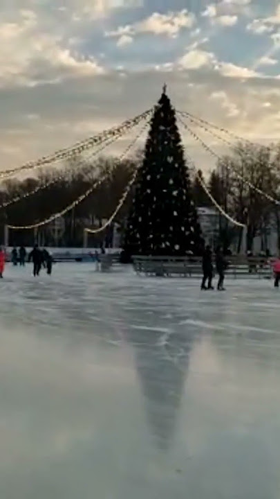 #Elagin Ostrov#Katok#december 3,2022#Sankt-Peterburg#
