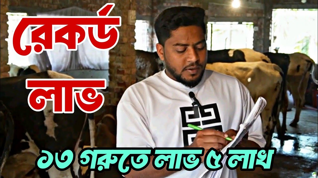 এবার ১৩ গরুতে লাভ করলাম ৫ লাখ..!!