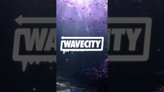 RNRS - Undertow