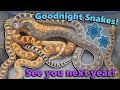 Moving Snakes into Brumation