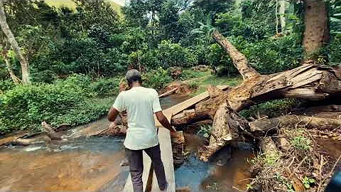 The Reality of WLI WATERFALLS NOW IN GHANA/ HIGHEST WATERFALL in West Africa