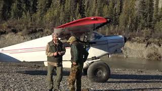 Bear, Moose, & Caribou Hunt   SD 480p