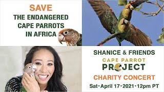 CAPE PARROT PROJECT  LIVESTREAM CONCERT 🇿🇦 April 17th, 12pm PT
