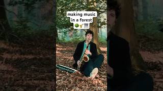 Side Quest In The Forest