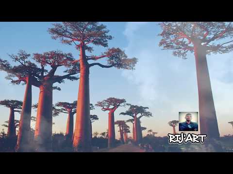 RIJ'ART - Ho