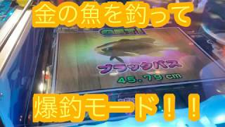 レッ釣りgo 金の魚を釣って爆釣モード 結果は 最新メダルゲーム Youtube