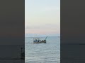 Hilsa fishing boats are coming up from the river.